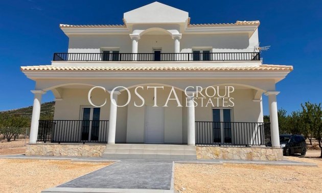 Villa - New Build - Pinoso - Pinoso