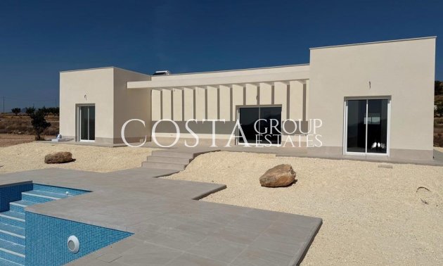 Villa - Nieuwbouw Woningen - Pinoso - Pinoso