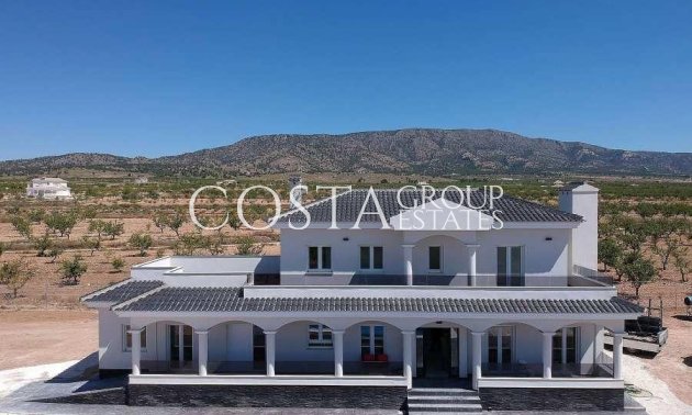 Villa - Nouvelle construction - Pinoso - Pinoso