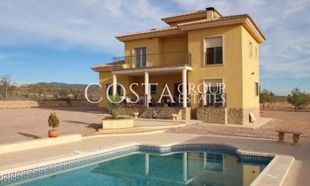 Villa - Resale - Pinoso - Pinoso