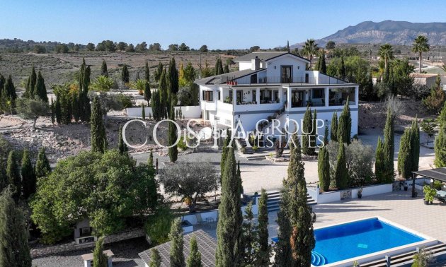 Villa - Resale -
            Pinoso - RO-49894