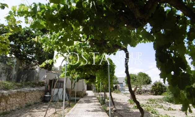 Villa - Resale -
            Yecla - RO-73180