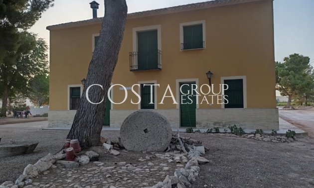 Villa - Resale - Yecla - Yecla Centro