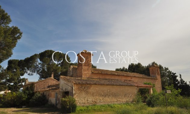 Villa - Resale - Yecla - Yecla Centro