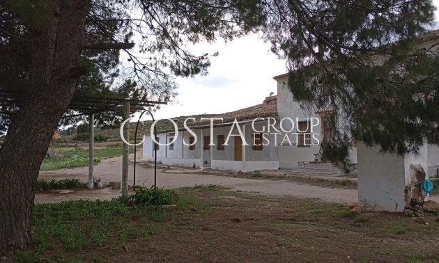 Villa - Resale - Yecla -
                Yecla Centro