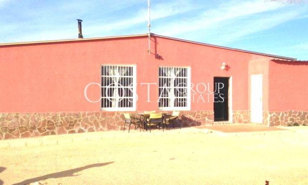 Villa - Revente - Pinoso -
                Pinoso Centro