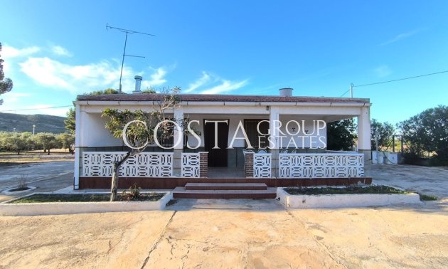 Villa - Revente - Yecla -
                Yecla Centro