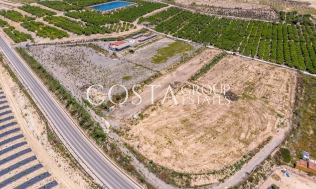 Villa - Wiederverkauf - Los Montesinos - Los Montesinos Centro