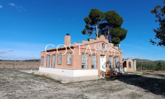 Villa - Wiederverkauf - Yecla -
                Yecla Centro