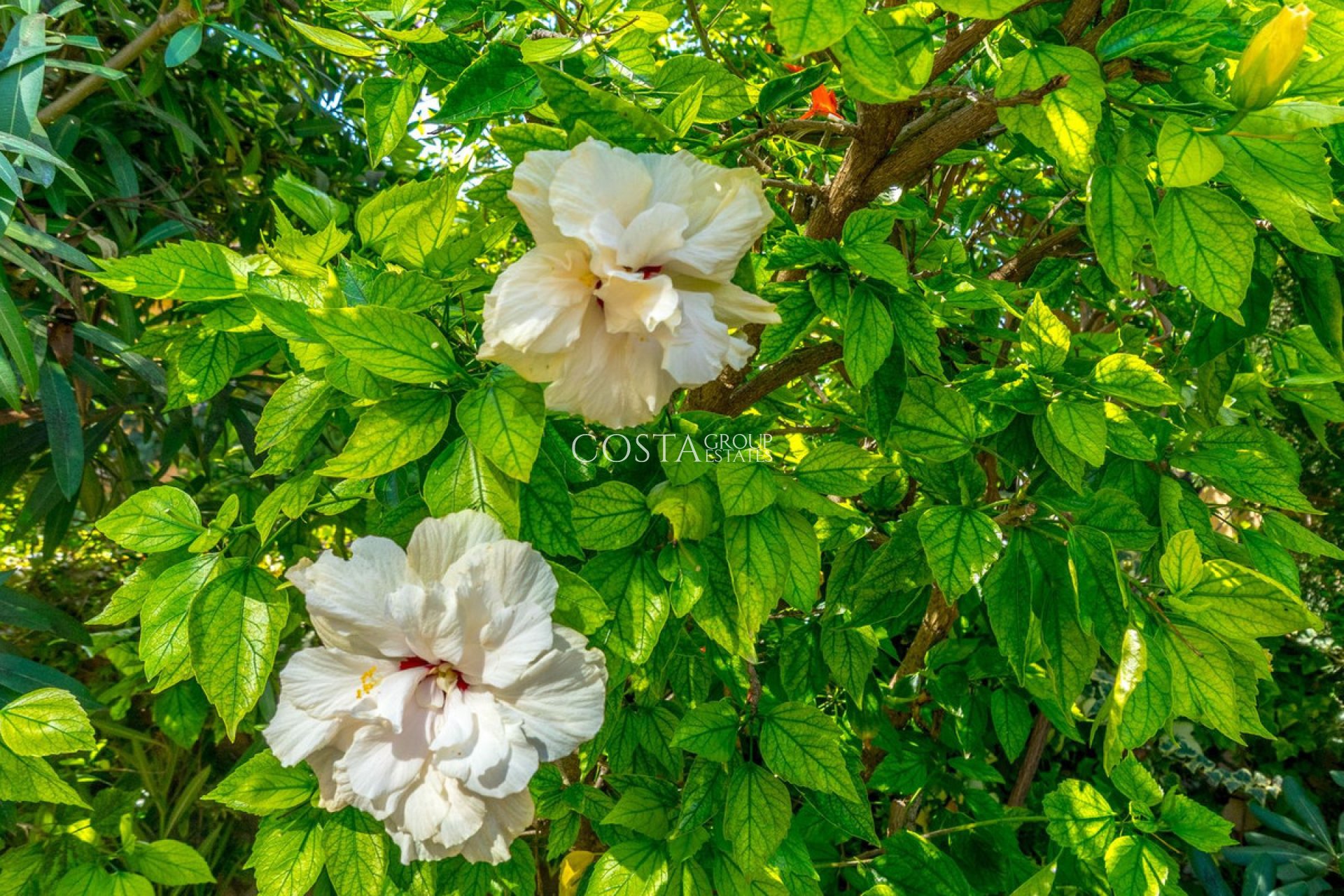 Wiederverkauf - Apartments -
Torrevieja - Torrevieja Centro