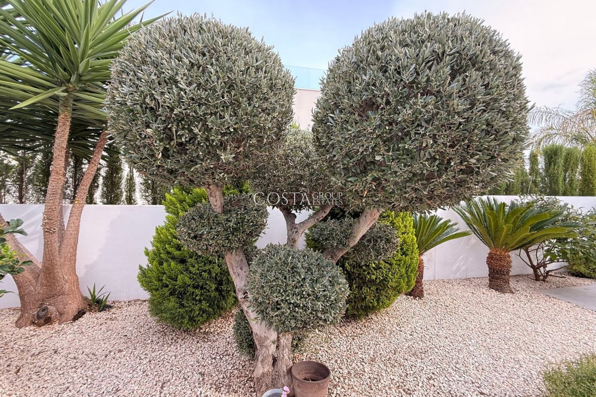 Wiederverkauf - Villa -
Benijofar