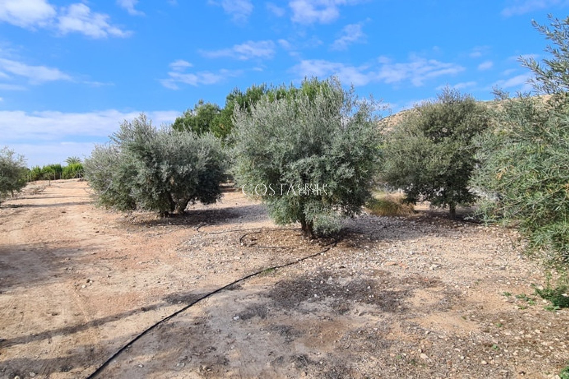 Wiederverkauf - Villa -
Orihuela - La Matanza