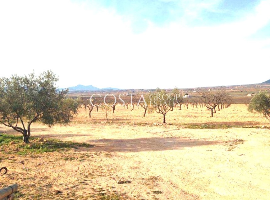 Wiederverkauf - Villa -
Pinoso - Pinoso Centro