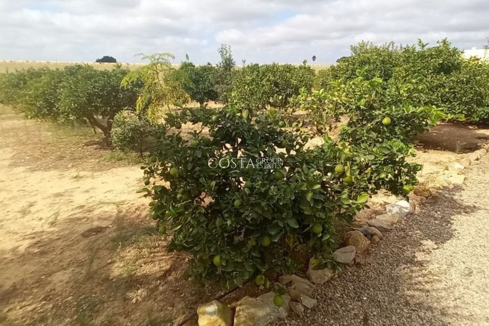 Wiederverkauf - Villa -
San Javier - San Javier Centro
