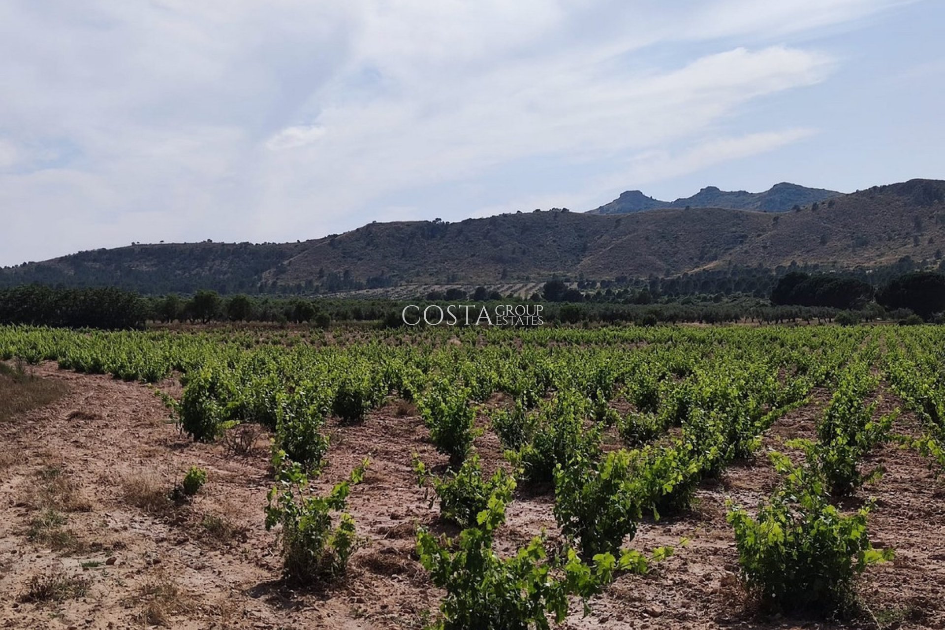 Wiederverkauf - Villa -
Yecla - Yecla Centro