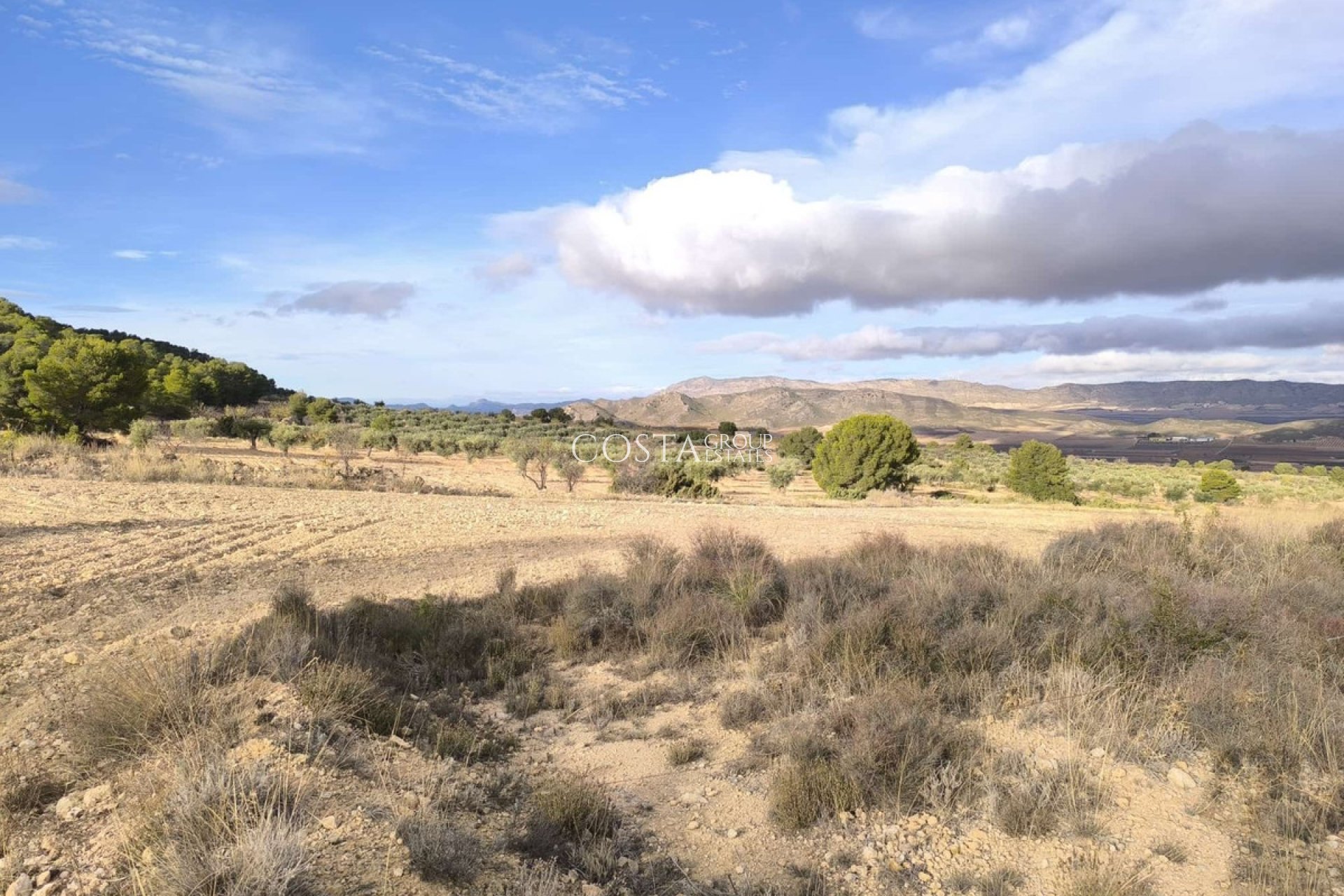 Wiederverkauf - Villa -
Yecla - Yecla Centro