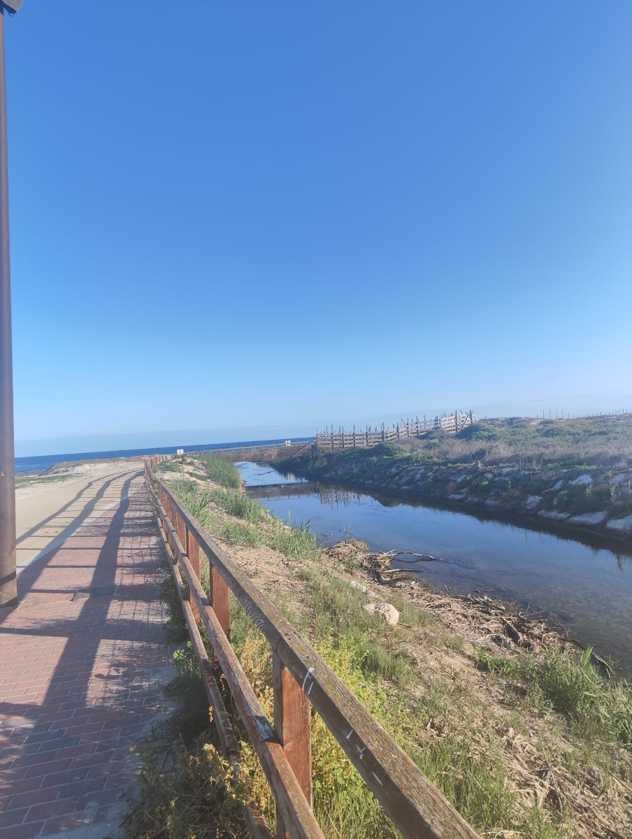 CBW-692: Apartments for sale in Pilar de la Horadada