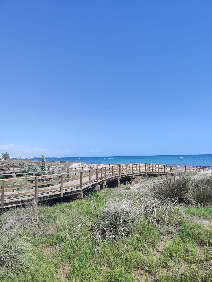 CBW-692: Apartments for sale in Pilar de la Horadada