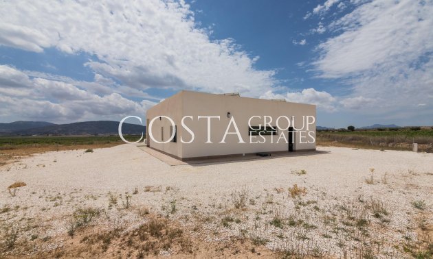 Nouvelle construction - Villa -
Pinoso - Lel