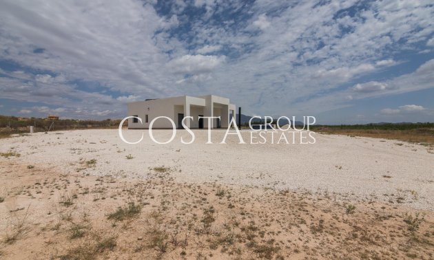 Nouvelle construction - Villa -
Pinoso - Lel