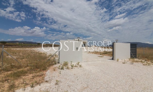 Nouvelle construction - Villa -
Pinoso - Lel