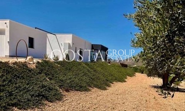 Nowy budynek - Willa -
Jumilla - Torre del Rico