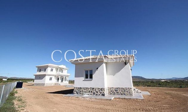Nouvelle construction - Villa -
Pinoso