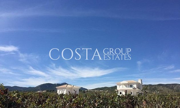 Nouvelle construction - Villa -
Pinoso