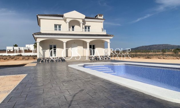 Nouvelle construction - Villa -
Pinoso