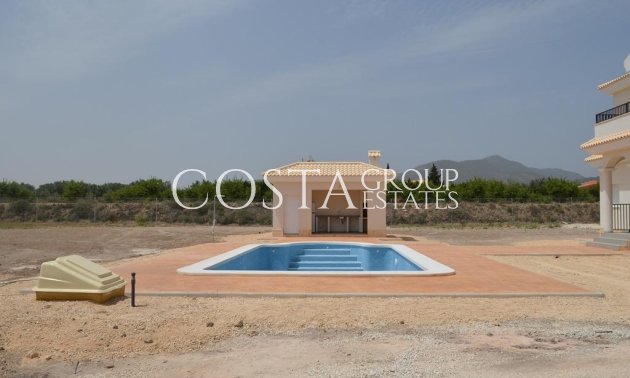 Nouvelle construction - Villa -
Pinoso