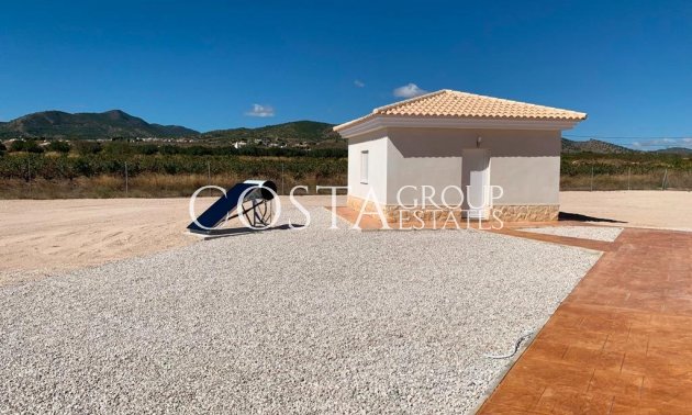 Nouvelle construction - Villa -
Pinoso