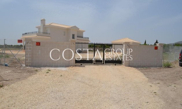 Nouvelle construction - Villa -
Pinoso