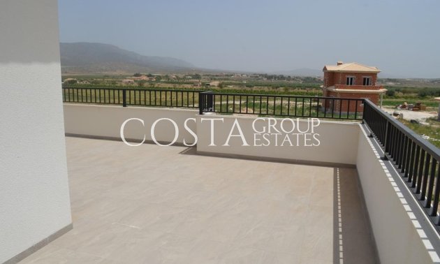 Nouvelle construction - Villa -
Pinoso