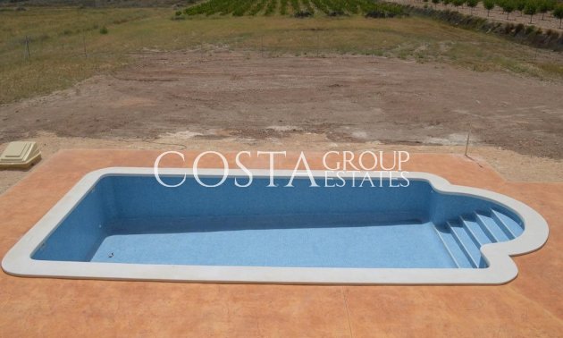 Nouvelle construction - Villa -
Pinoso