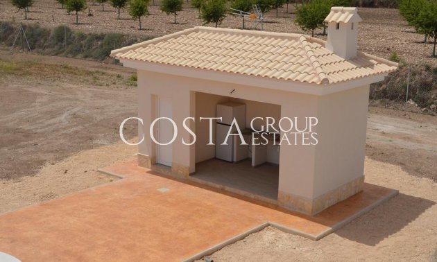 Nouvelle construction - Villa -
Pinoso