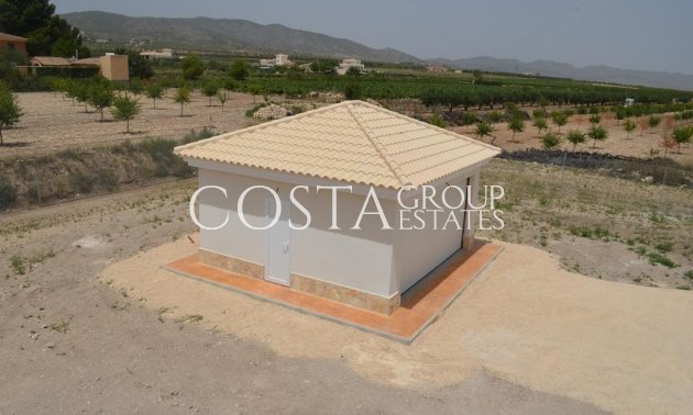 Nouvelle construction - Villa -
Pinoso