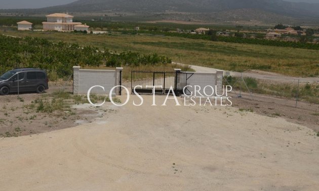 Nouvelle construction - Villa -
Pinoso