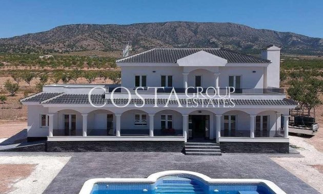 Nouvelle construction - Villa -
Pinoso