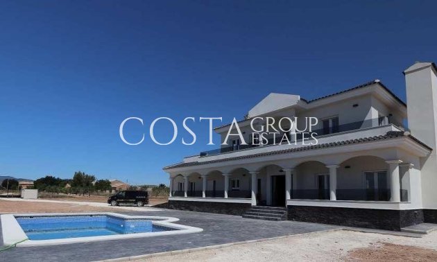 Nouvelle construction - Villa -
Pinoso