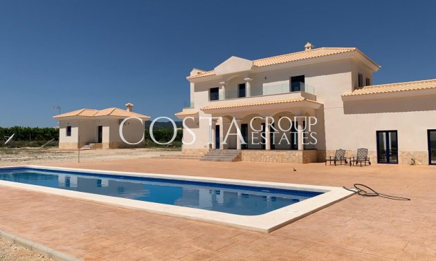 Nouvelle construction - Villa -
Pinoso