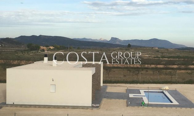 New Build - Villa -
Pinoso