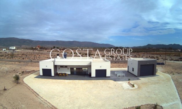 Neue Gebäude - Villa -
Pinoso