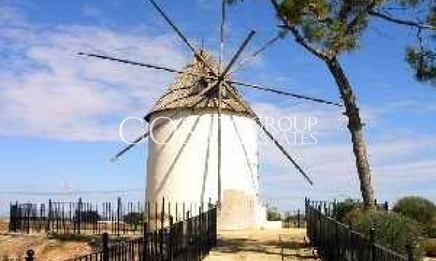 New Build - Semidetached -
Torre Pacheco - Torre-pacheco