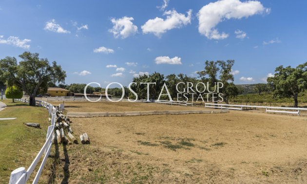 New Build - Apartment -
Sotogrande - San Roque Club