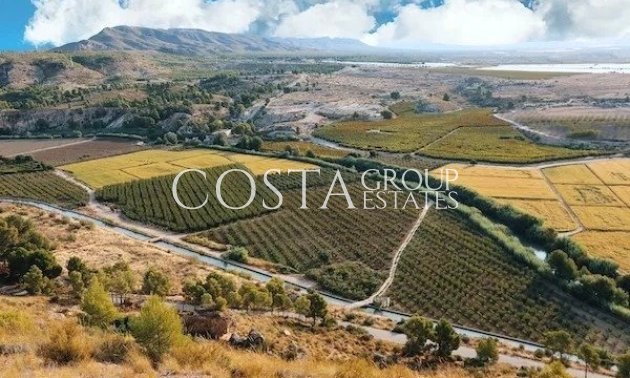 Nouvelle construction - Villa -
Calasparra - Coto Riñales