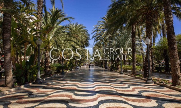 Nowy budynek - Ground floor apartment -
Alicante - Centro