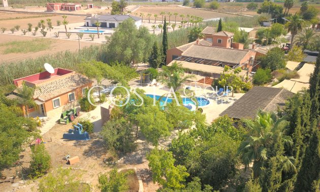 Revente - Villa -
Catral