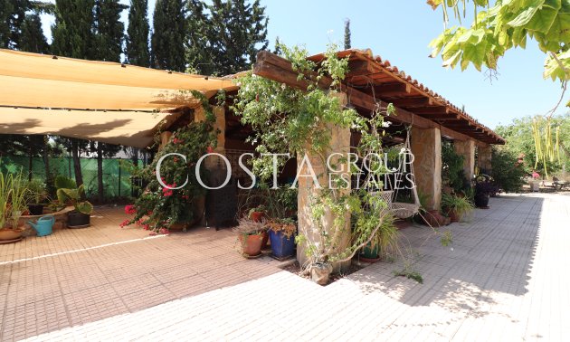 Revente - Villa -
Catral