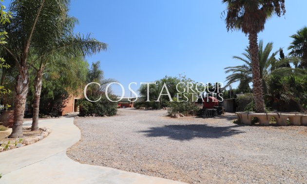 Revente - Villa -
Catral