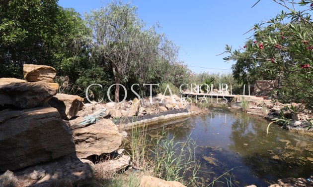 Revente - Villa -
Catral
